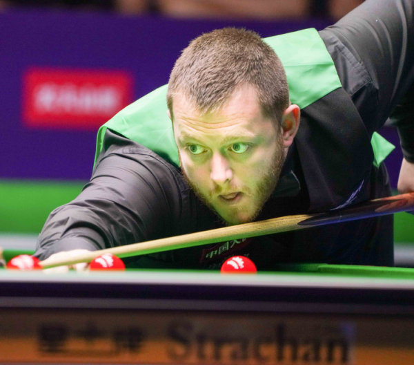 的新天下的 的新天下的